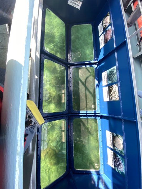 WWF海下灣生態遊[透明號]玻璃底船