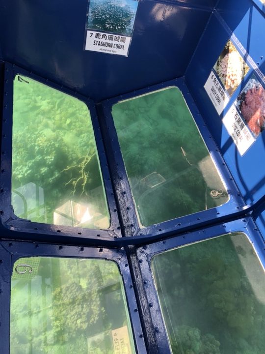 WWF海下灣生態遊[透明號]玻璃底船