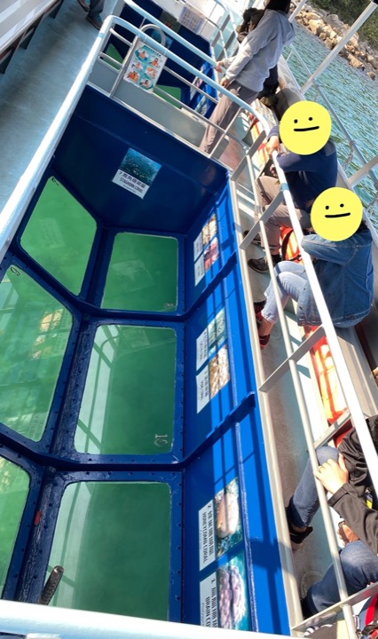 WWF海下灣生態遊[透明號]玻璃底船